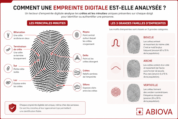 Analyse biométrique d’une empreinte digitale pour l’identification d’un utilisateur
