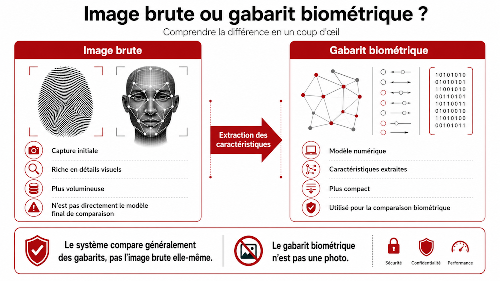 image-brute-gabarit-biometrique