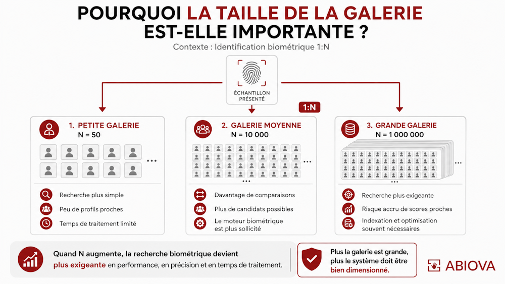 Quel est l’impact de N sur l’identification biométrique ?